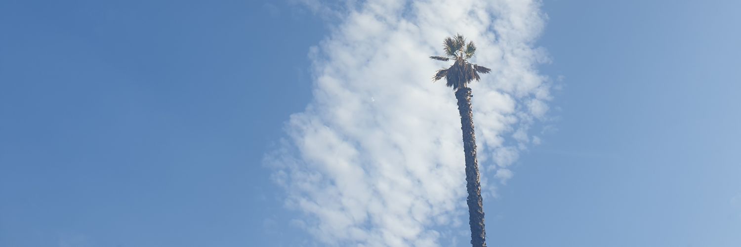 benjaminbravo's profile banner image