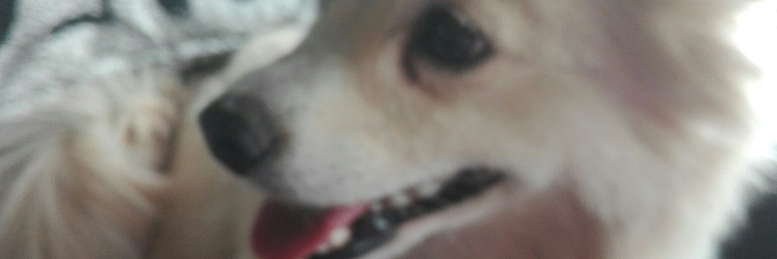 AndrewUnited7's profile banner image