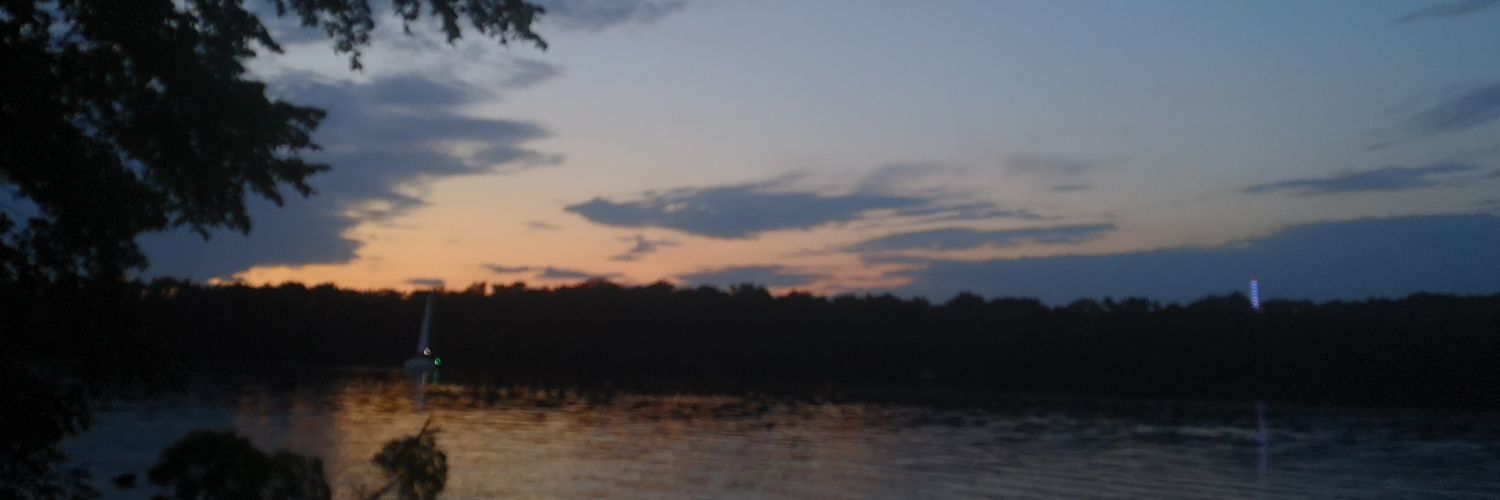 TheSillyGenius's profile banner image