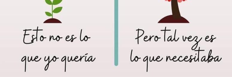 PIAFRAGOSO's profile banner image