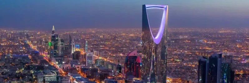 Lamia Majed Al Saud banner