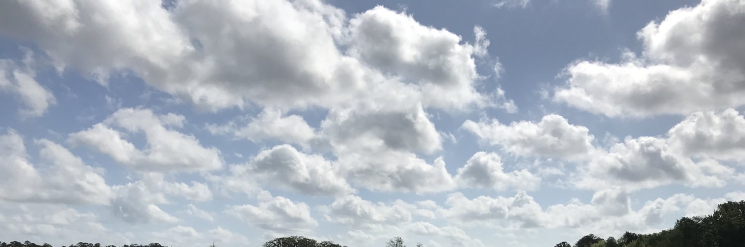 anna_bee19's profile banner image