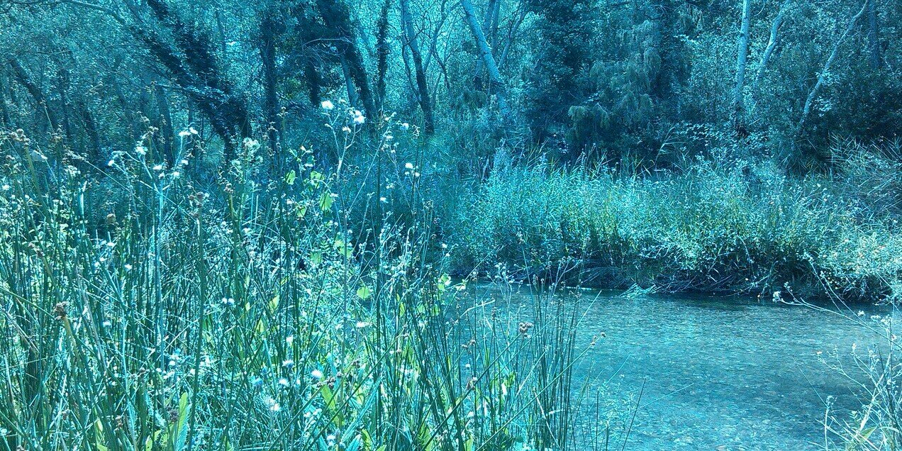 MartaMller2's profile banner image