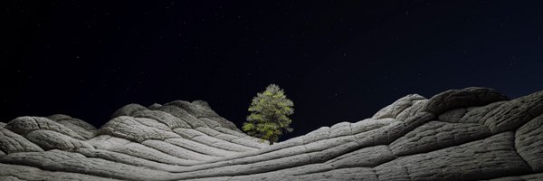 TomHag3N Profile Banner