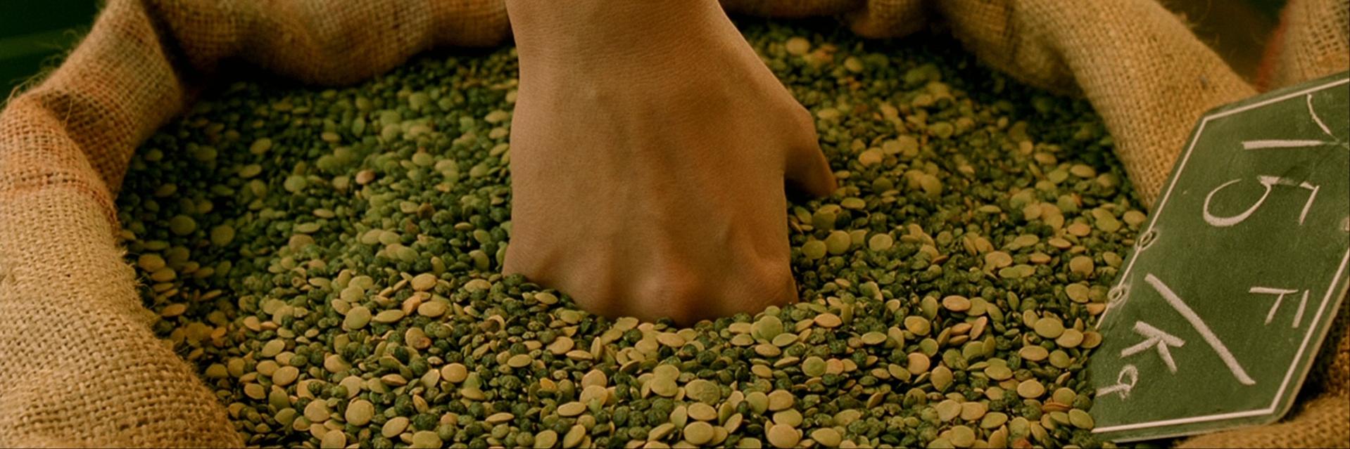 🌱🌍 Ulrike banner