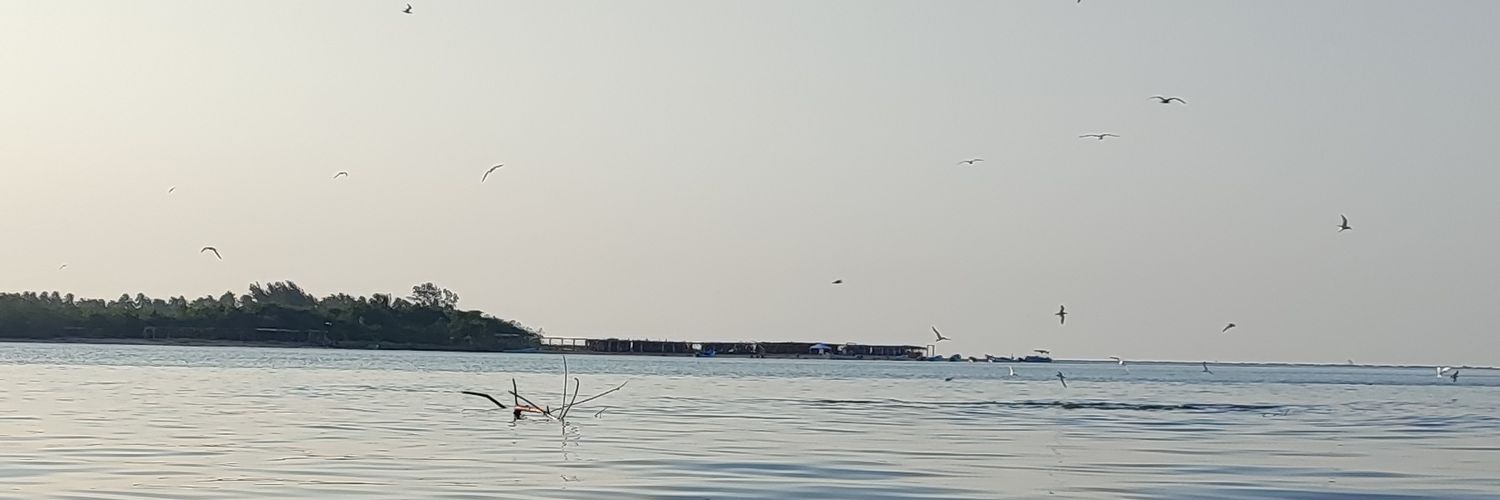 beatrizzmora's profile banner image