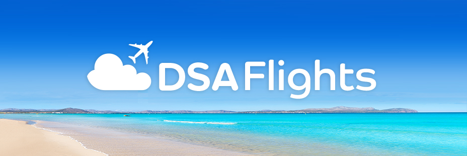 flydsa's profile banner image