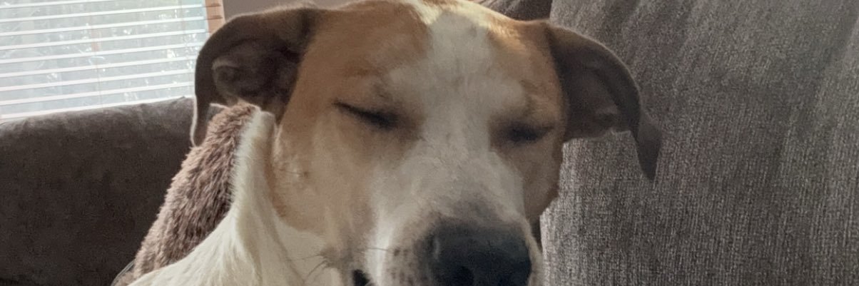 imgeorgeanna's profile banner image