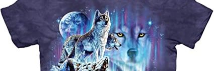 jort king banner