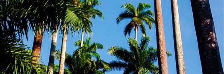 faahmoraes's profile banner image