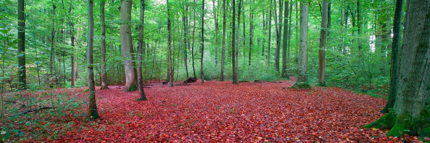 John Nanninga banner