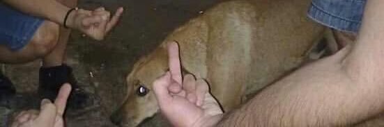 bigdaddychriis's profile banner image