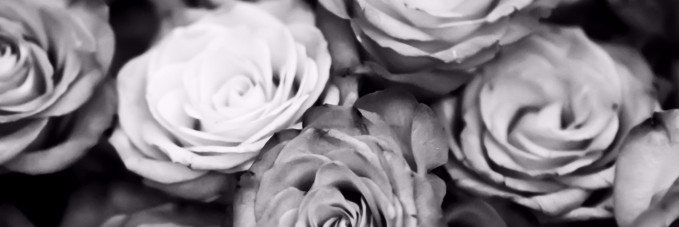 Chantel_Oost's profile banner image