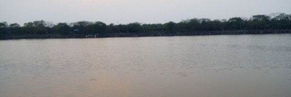 Poonamchauhan10 Profile Banner