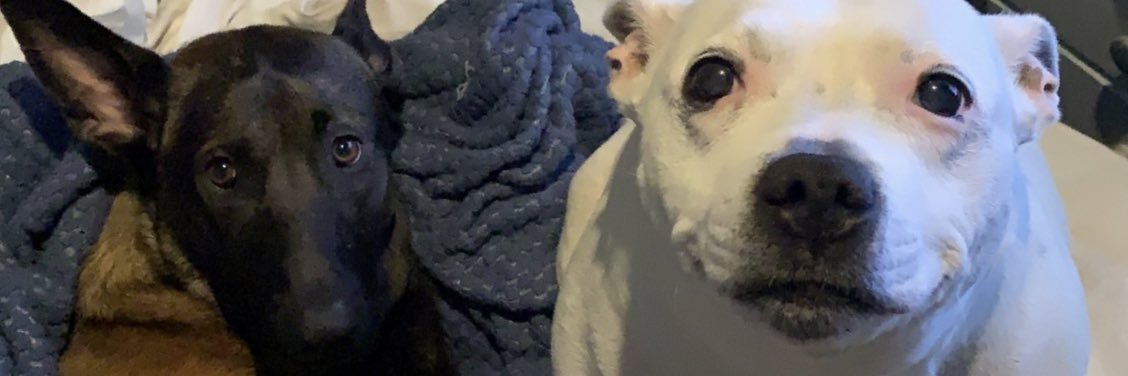 Dugnecks's profile banner image