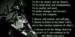 Tiger_Joe1's profile banner image