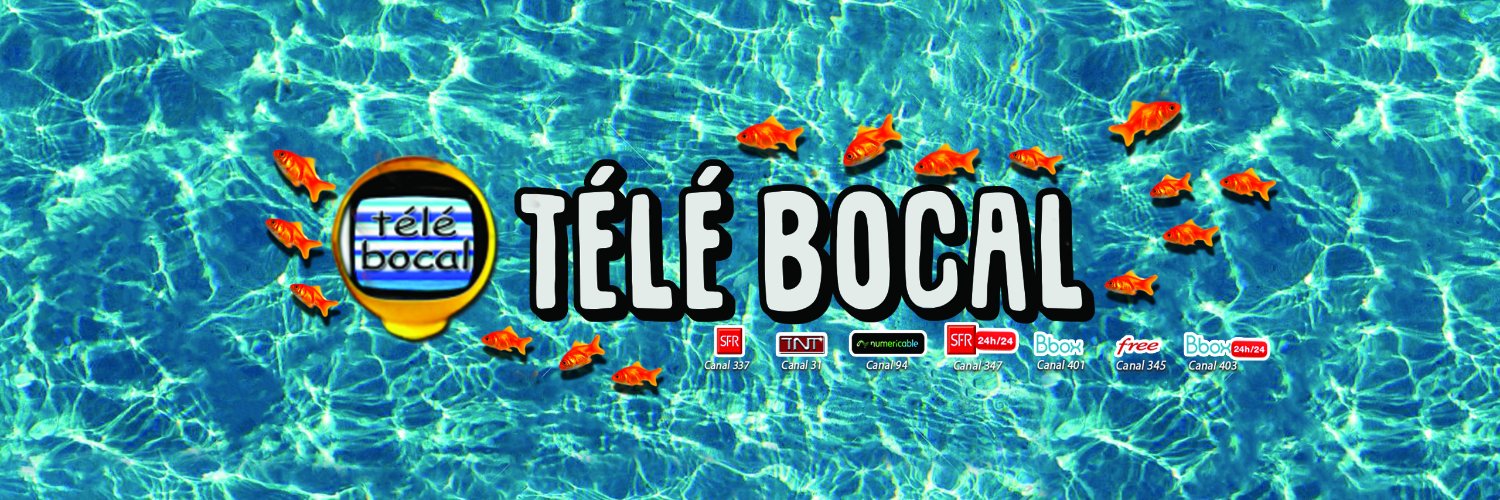 TeleBocal's profile banner image