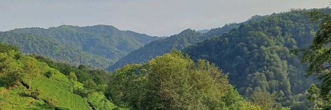 ofli1963's profile banner image