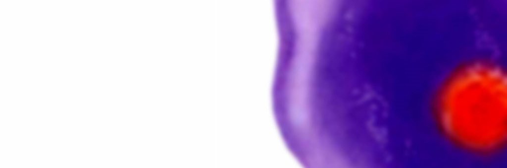 Poga44's profile banner image