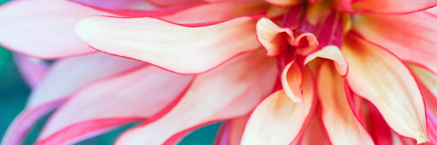 kellimartin__'s profile banner image