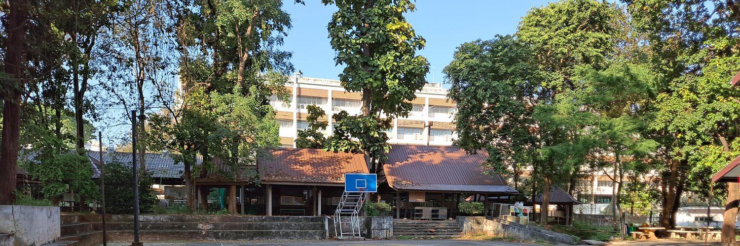 ลูกเป็ดน้อยของแม่พ่อ banner