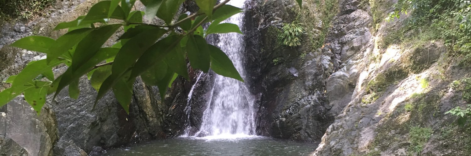 Michael Hudlin banner