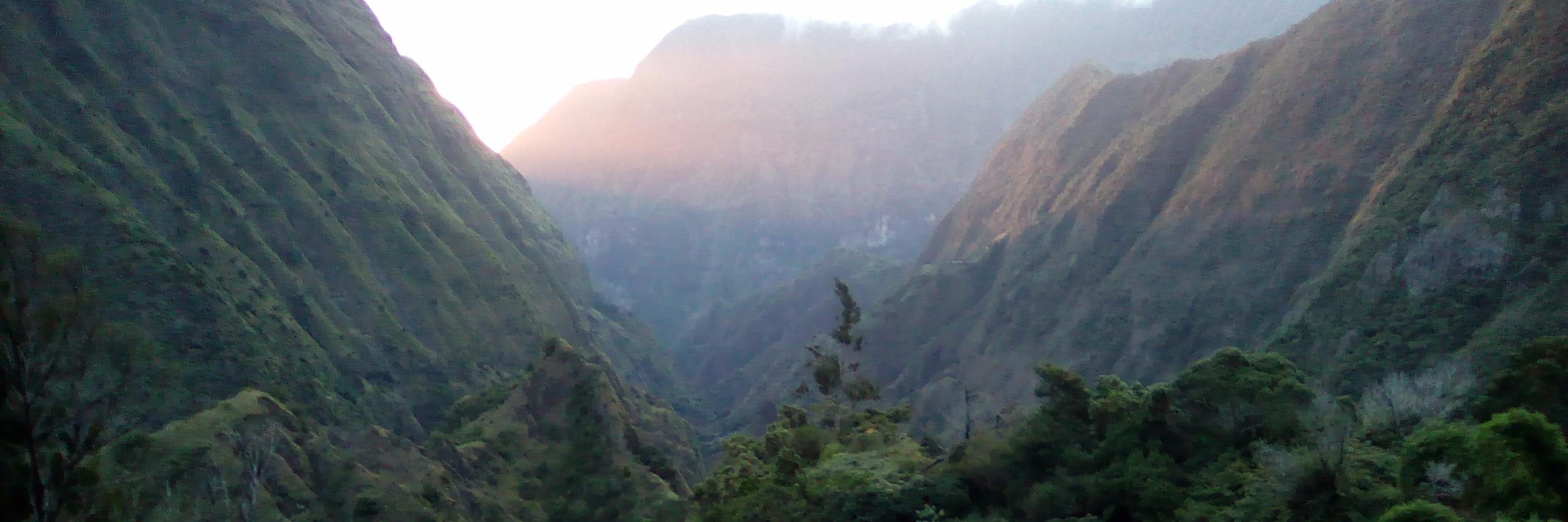 vinel sebastien banner