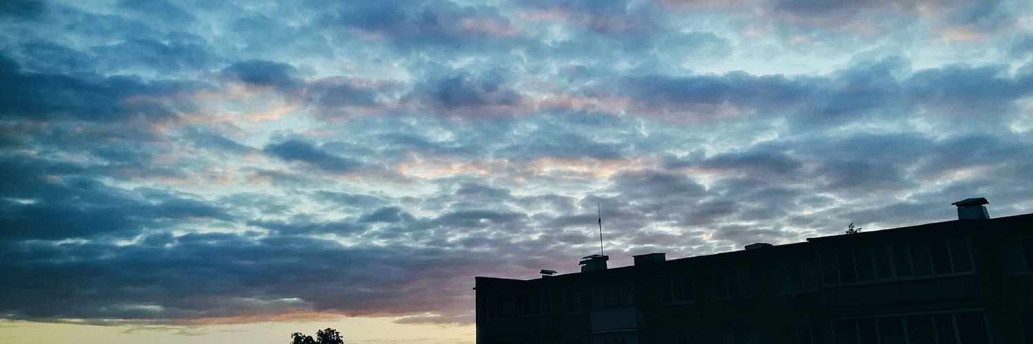 ChristineFedo's profile banner image