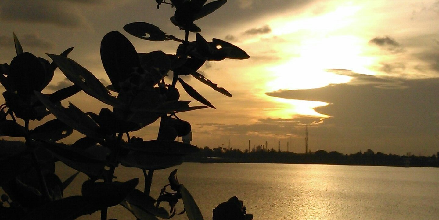 Anglingfuri's profile banner image