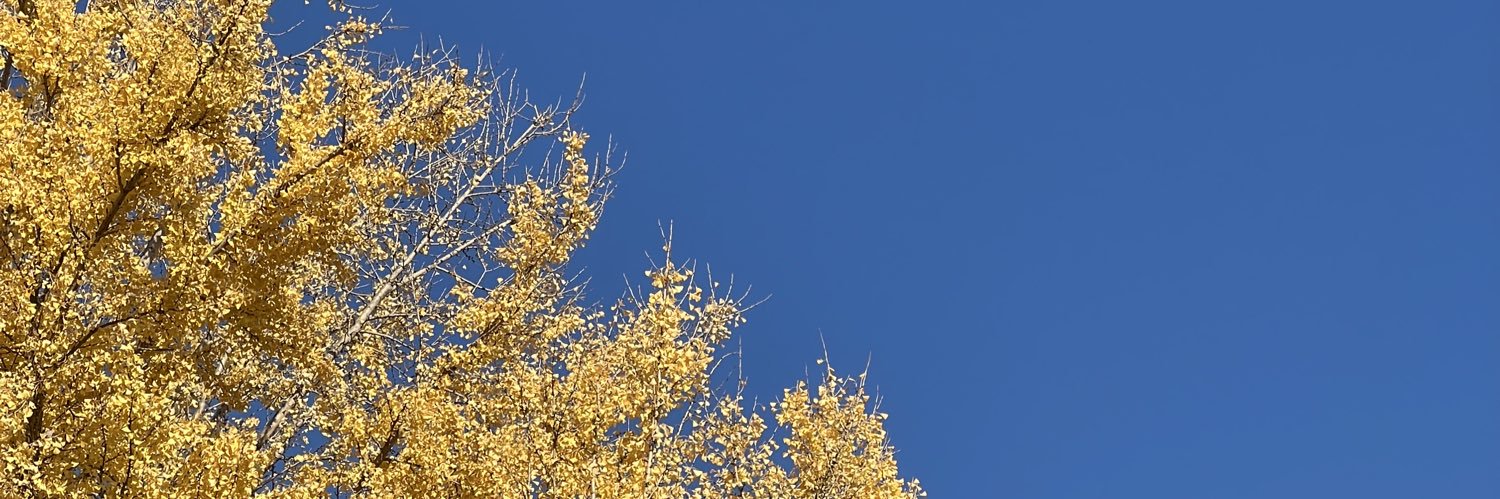 FNaiSai's profile banner image