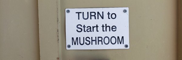 thesega Profile Banner