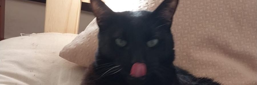 ceciferrrr's profile banner image