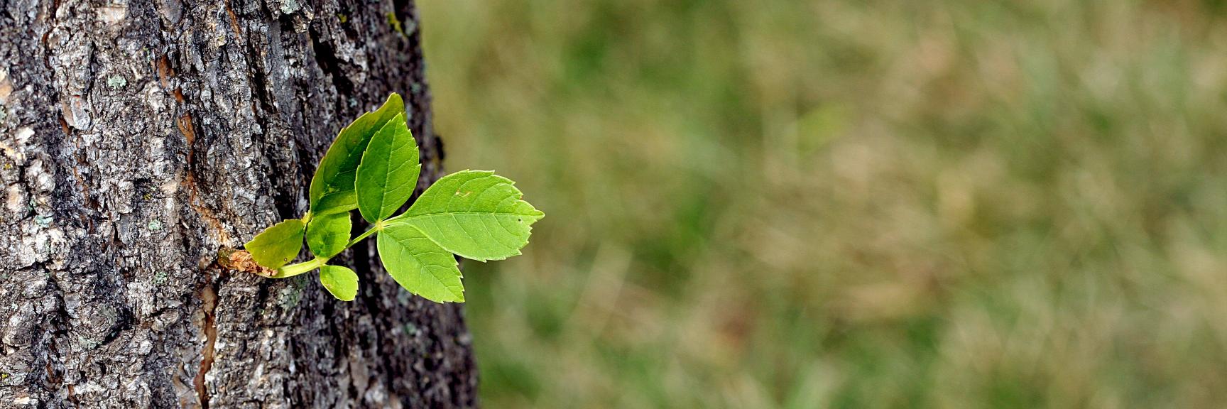Gregg Pollack banner
