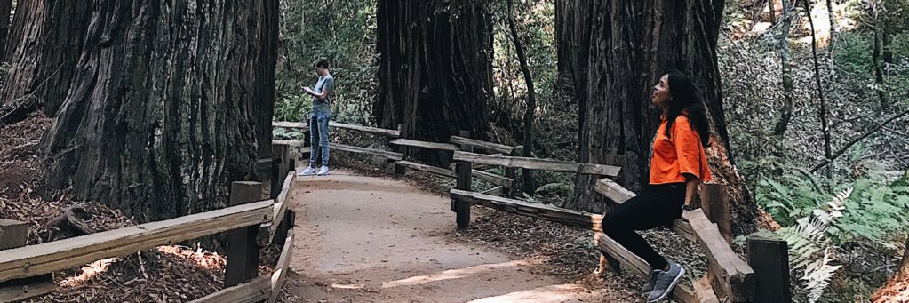 juvikaye's profile banner image