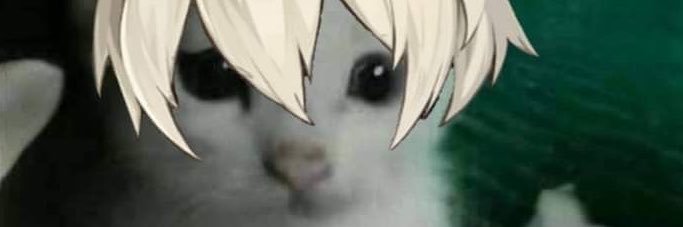 KerjoBennett's profile banner image