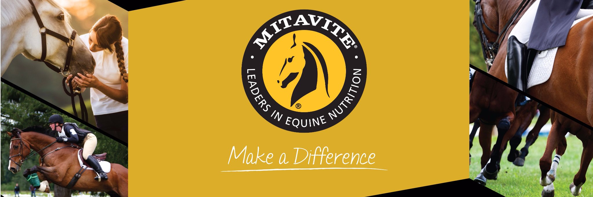Mitavite's profile banner image