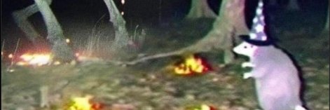 xomacs's profile banner image