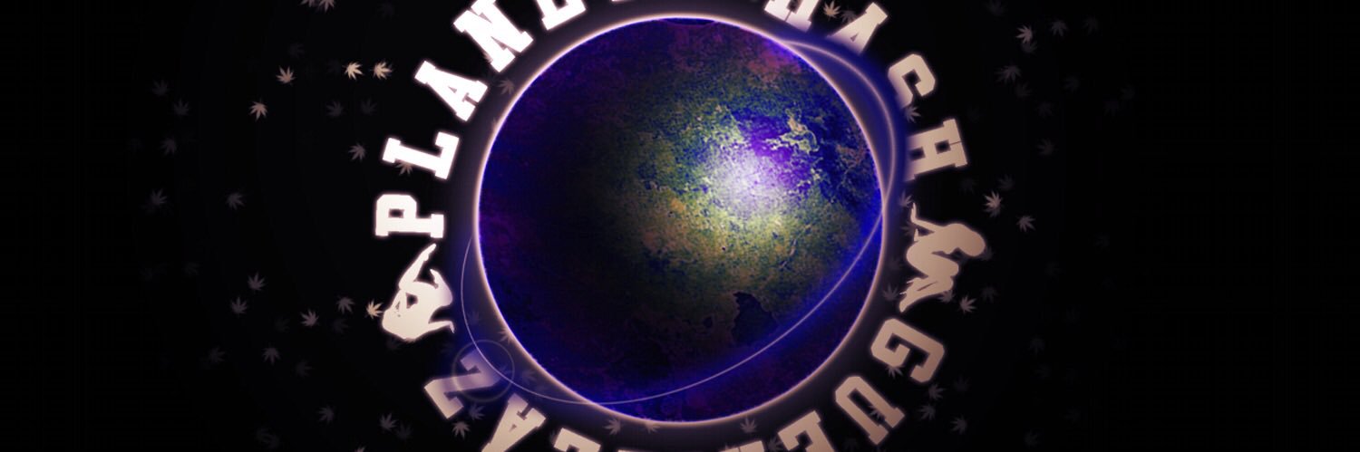 wavedgang's profile banner image