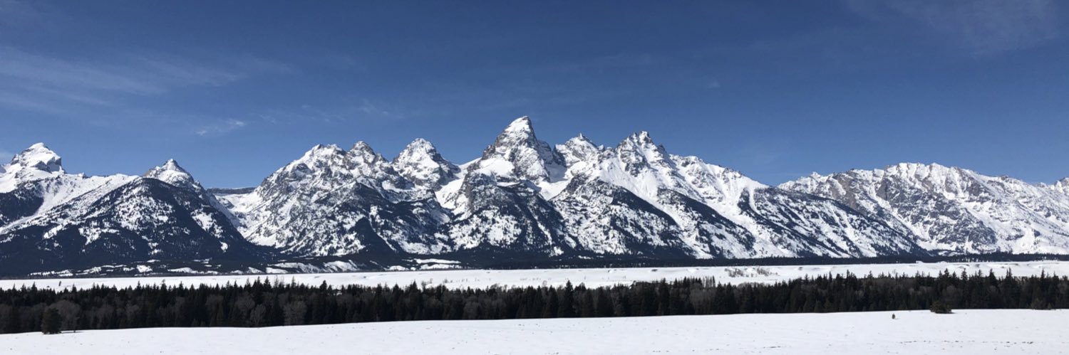 Jennifer Peterson banner