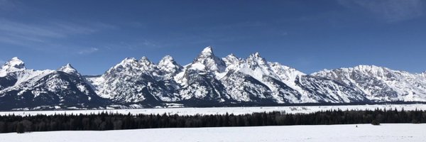 OESPhysEd Profile Banner