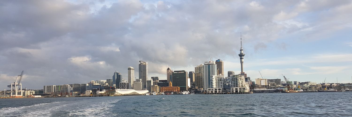 Paul Shingles banner