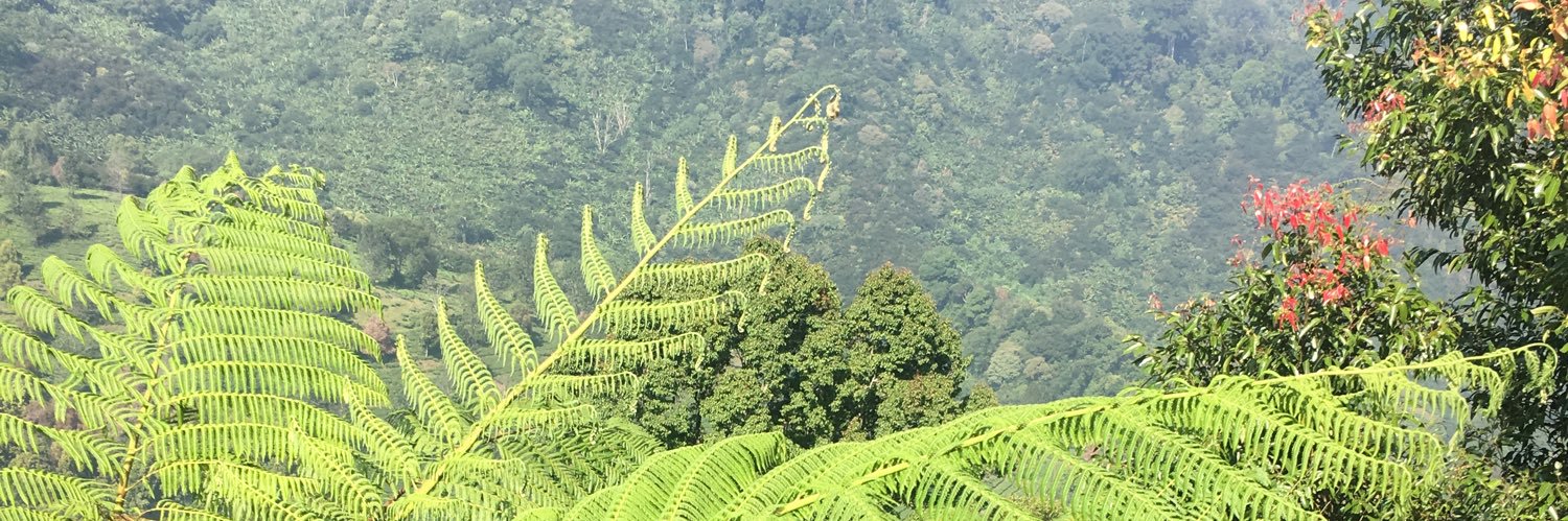 أبو لميس banner