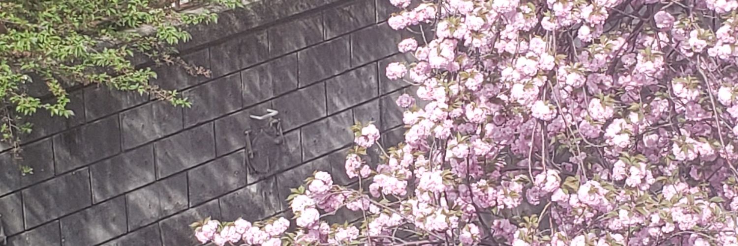 flaneur0618's profile banner image