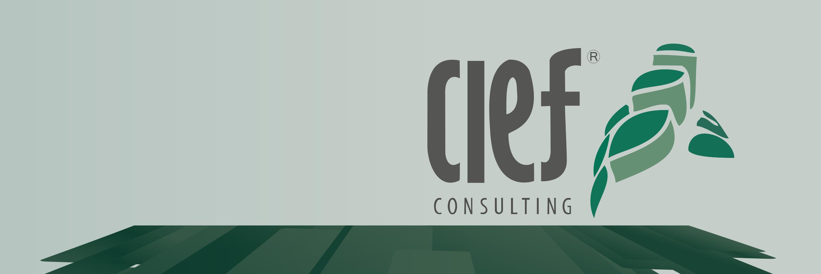 CIEFconsulting's profile banner image
