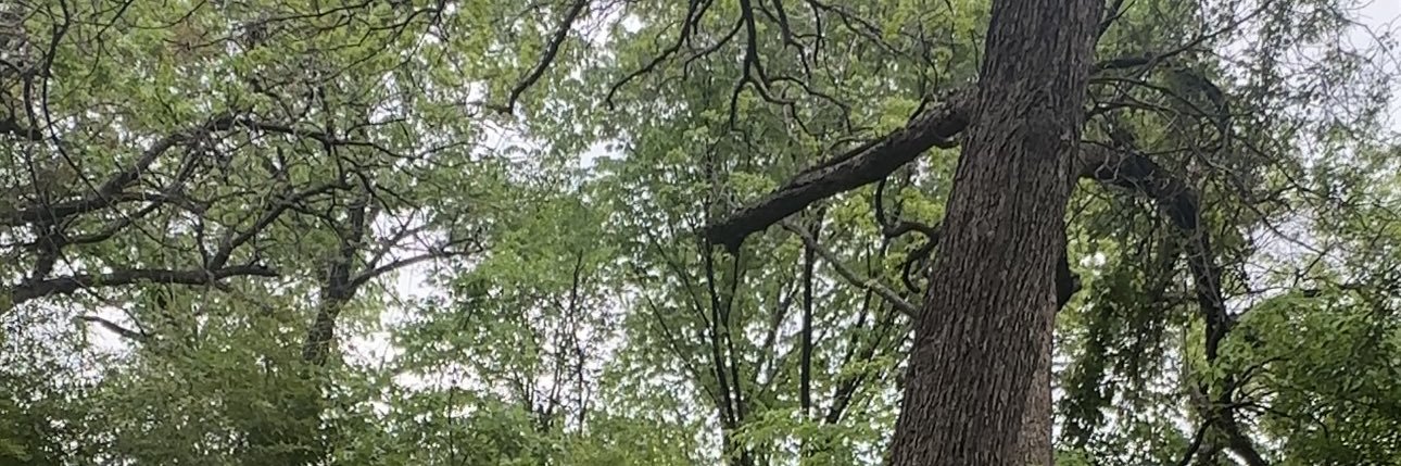 _aariesbby_'s profile banner image