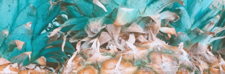 Mayagarcia84's profile banner image