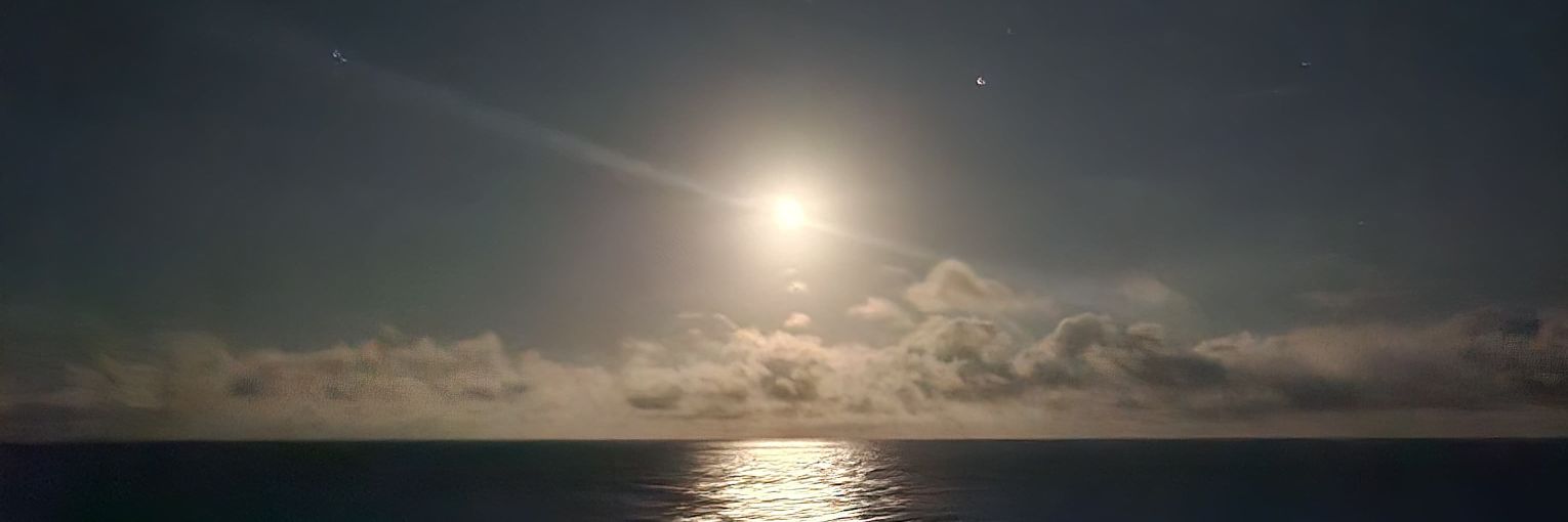 tammyD987's profile banner image