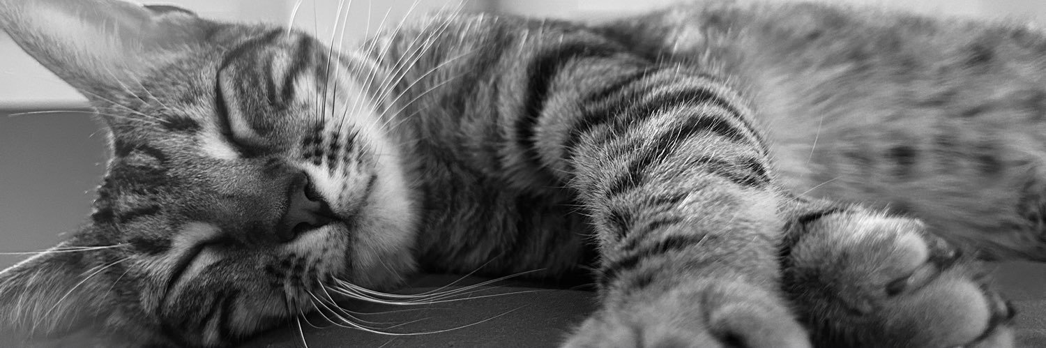 lopi97's profile banner image