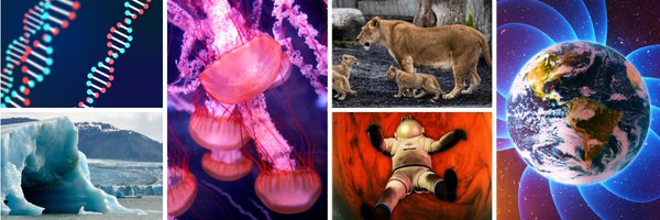 insiderscience Profile Banner