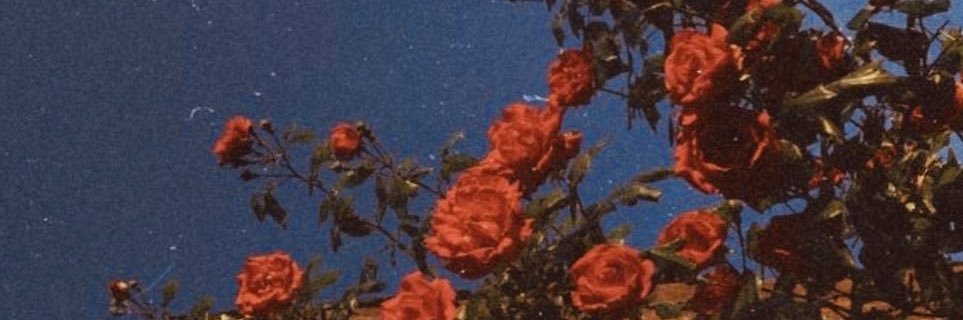 tanyapiotrowski's profile banner image